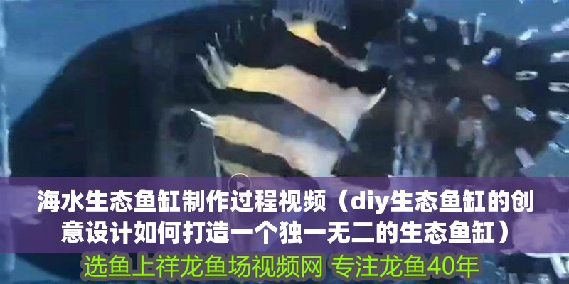 海水生態魚缸制作過程視頻（diy生態魚缸的創意設計如何打造一個獨一無二的生態魚缸）