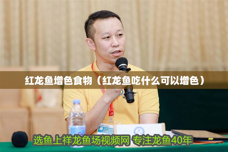 紅龍魚增色食物（紅龍魚吃什么可以增色）