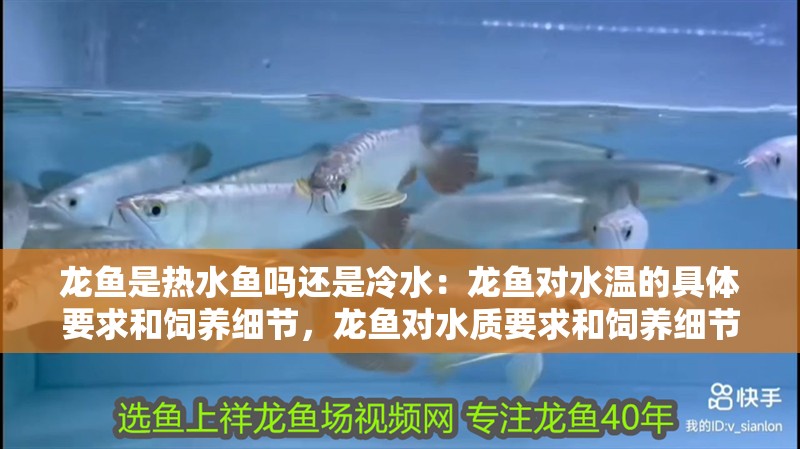 龍魚是熱水魚嗎還是冷水：龍魚對水溫的具體要求和飼養(yǎng)細(xì)節(jié)，龍魚對水質(zhì)要求和飼養(yǎng)細(xì)節(jié)