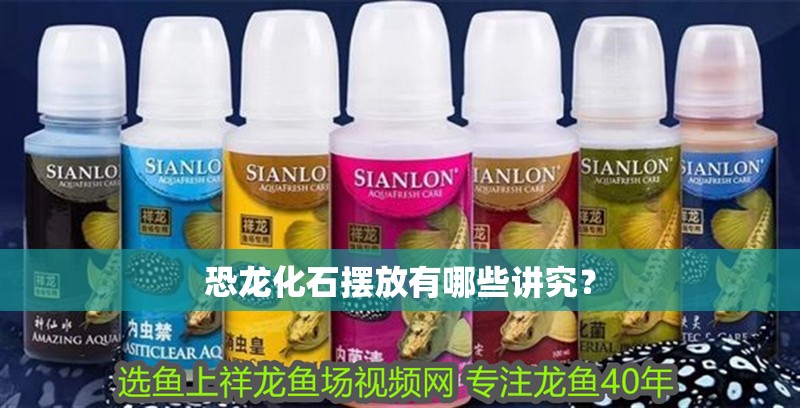 恐龍化石擺放有哪些講究？