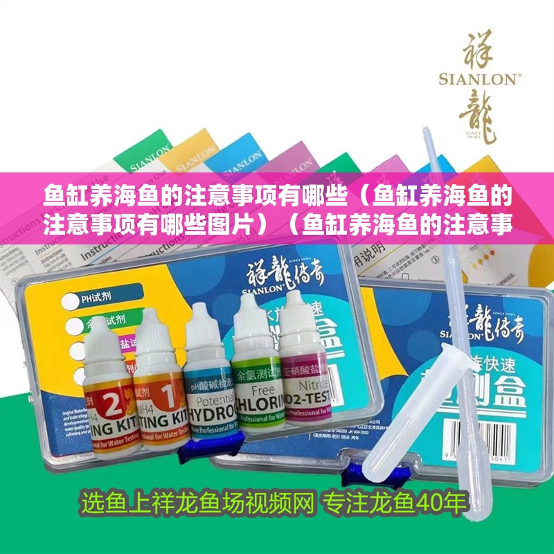 魚缸養(yǎng)海魚的注意事項有哪些（魚缸養(yǎng)海魚的注意事項有哪些圖片）（魚缸養(yǎng)海魚的注意事項）