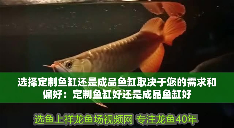 選擇定制魚(yú)缸還是成品魚(yú)缸取決于您的需求和偏好：定制魚(yú)缸好還是成品魚(yú)缸好
