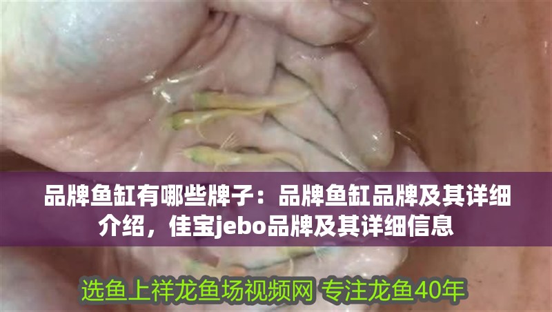 品牌魚(yú)缸有哪些牌子：品牌魚(yú)缸品牌及其詳細(xì)介紹，佳寶jebo品牌及其詳細(xì)信息 品牌魚(yú)缸有哪些牌子：品牌魚(yú)缸品牌及其詳細(xì)介紹，佳寶jebo品牌及其詳細(xì)信息 魚(yú)缸百科