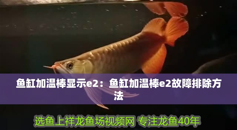 魚缸加溫棒顯示e2：魚缸加溫棒e2故障排除方法