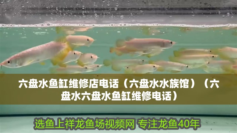 六盤水魚缸維修店電話（六盤水水族館）（六盤水六盤水魚缸維修電話）