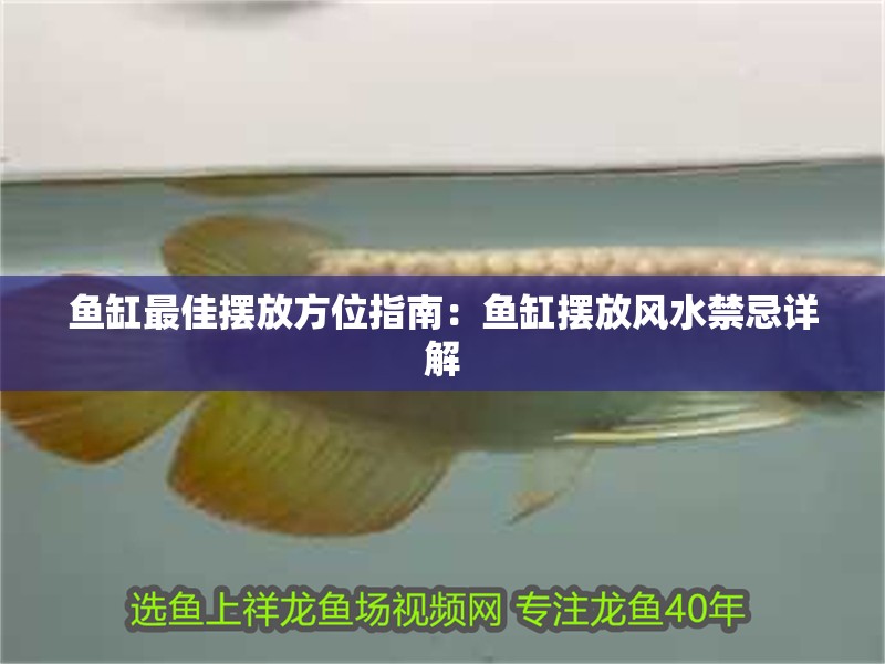 魚缸最佳擺放方位指南：魚缸擺放風(fēng)水禁忌詳解