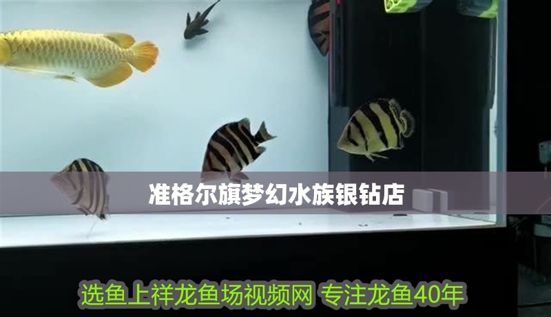 準格爾旗夢幻水族銀鉆店