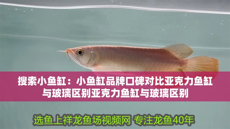 搜索小魚缸：小魚缸品牌口碑對比亞克力魚缸與玻璃區別亞克力魚缸與玻璃區別