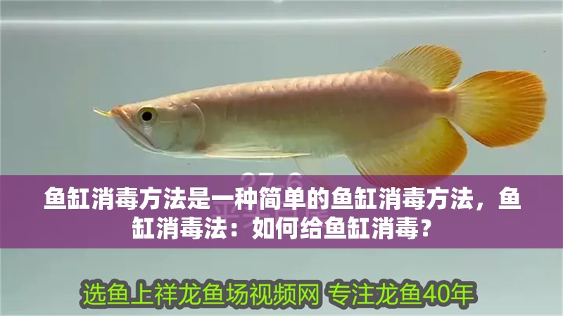 魚缸消毒方法是一種簡(jiǎn)單的魚缸消毒方法，魚缸消毒法：如何給魚缸消毒？