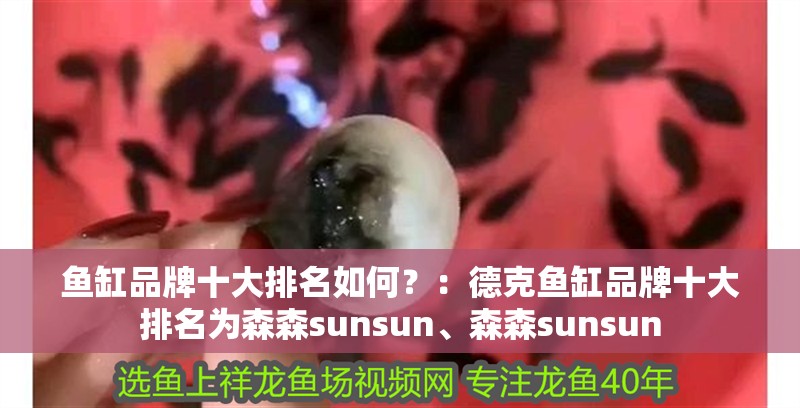 魚缸品牌十大排名如何？：德克魚缸品牌十大排名為森森sunsun、森森sunsun 魚缸品牌十大排名如何？：德克魚缸品牌十大排名為森森sunsun、森森sunsun 魚缸百科