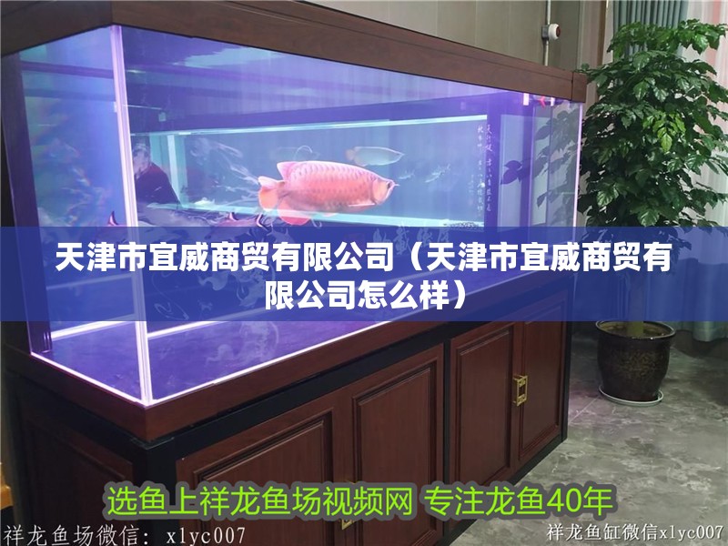 天津市宜威商貿(mào)有限公司（天津市宜威商貿(mào)有限公司怎么樣）