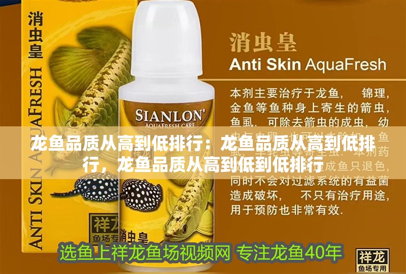 龍魚品質從高到低排行：龍魚品質從高到低排行，龍魚品質從高到低到低排行
