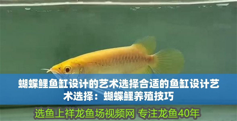 蝴蝶鯉魚缸設計的藝術選擇合適的魚缸設計藝術選擇：蝴蝶鯉養殖技巧