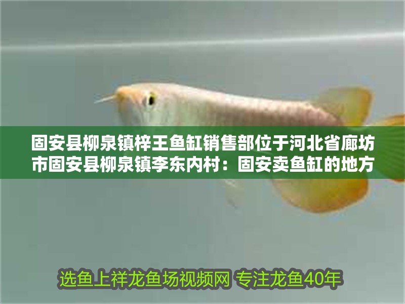 固安縣柳泉鎮梓王魚缸銷售部位于河北省廊坊市固安縣柳泉鎮李東內村：固安賣魚缸的地方