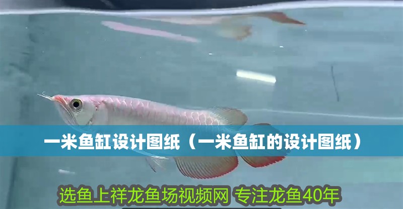 一米魚缸設計圖紙（一米魚缸的設計圖紙）