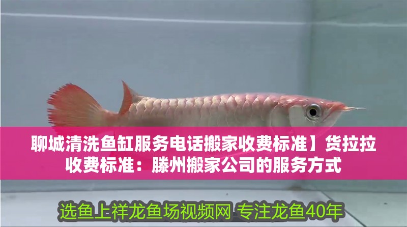 聊城清洗魚(yú)缸服務(wù)電話(huà)搬家收費(fèi)標(biāo)準(zhǔn)】貨拉拉收費(fèi)標(biāo)準(zhǔn)：滕州搬家公司的服務(wù)方式