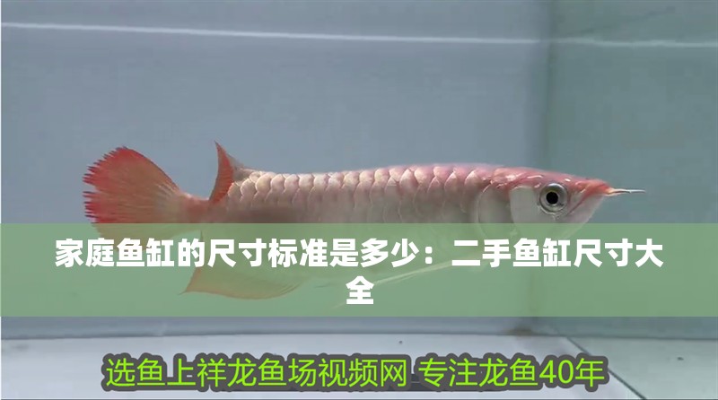 家庭魚缸的尺寸標準是多少：二手魚缸尺寸大全