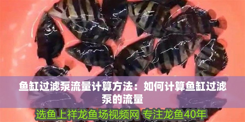 魚缸過濾泵流量計(jì)算方法：如何計(jì)算魚缸過濾泵的流量