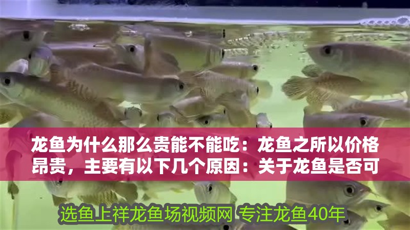 龍魚為什么那么貴能不能吃：龍魚之所以價格昂貴，主要有以下幾個原因：關于龍魚是否可以食用