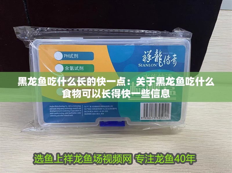 黑龍魚吃什么長的快一點：關于黑龍魚吃什么食物可以長得快一些信息