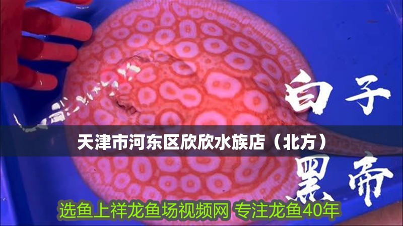 天津市河東區欣欣水族店（北方）