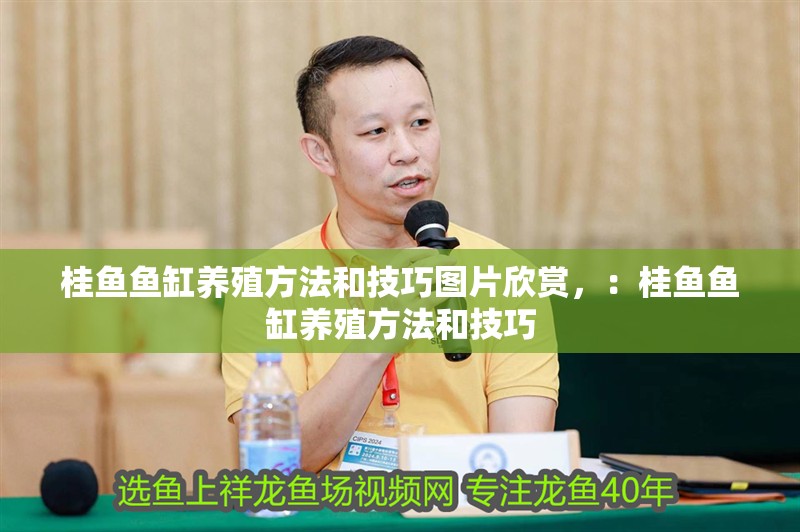 桂魚魚缸養(yǎng)殖方法和技巧圖片欣賞，：桂魚魚缸養(yǎng)殖方法和技巧