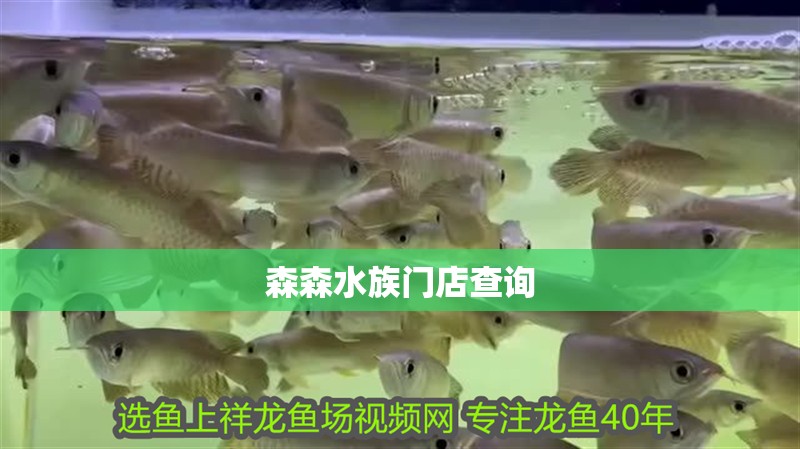 森森水族門店查詢