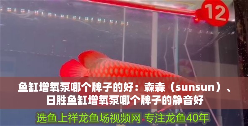 魚缸增氧泵哪個牌子的好：森森（sunsun）、日勝魚缸增氧泵哪個牌子的靜音好