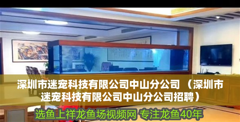 深圳市迷寵科技有限公司中山分公司 （深圳市迷寵科技有限公司中山分公司招聘）