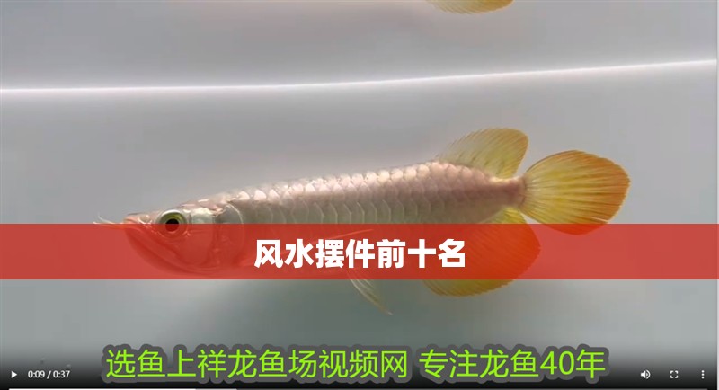 風(fēng)水?dāng)[件前十名