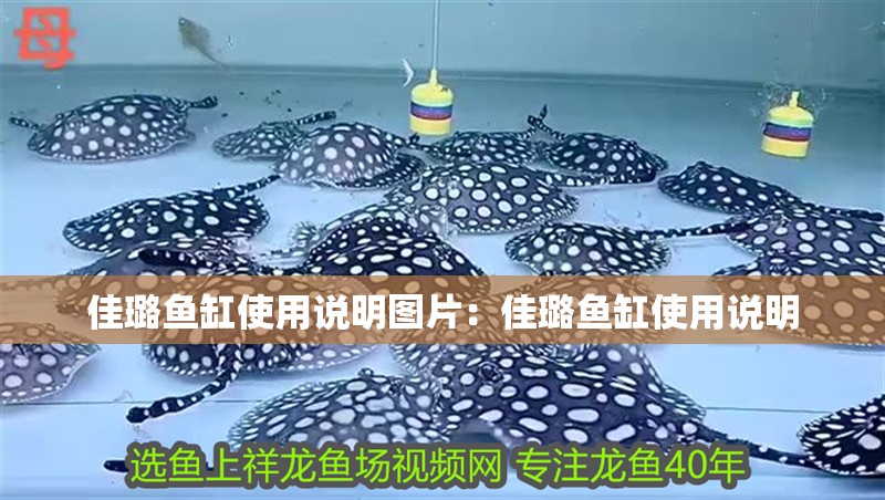 佳璐魚缸使用說明圖片：佳璐魚缸使用說明 佳璐魚缸使用說明圖片：佳璐魚缸使用說明 魚缸百科