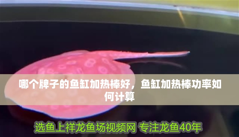 哪個牌子的魚缸加熱棒好，魚缸加熱棒功率如何計算