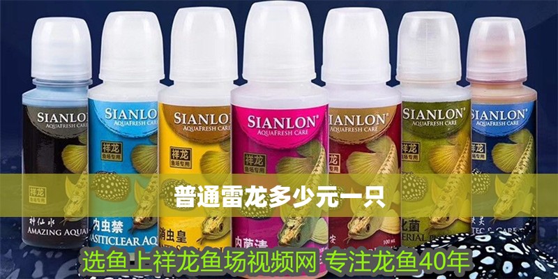 普通雷龍多少元一只