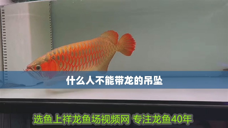 什么人不能帶龍的吊墜