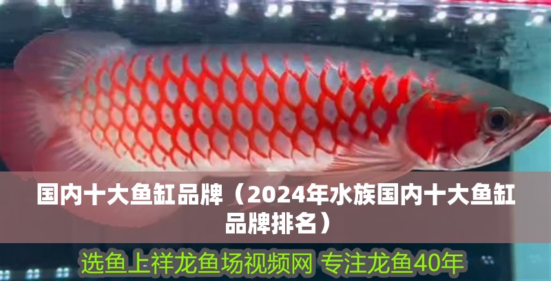 國內十大魚缸品牌（2024年水族國內十大魚缸品牌排名）