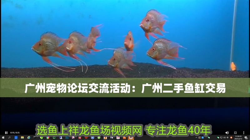 廣州寵物論壇交流活動：廣州二手魚缸交易