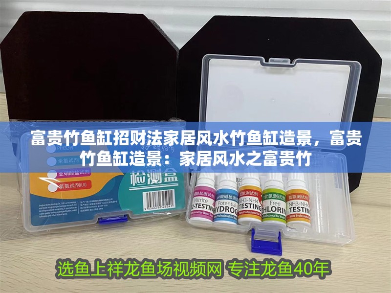富貴竹魚缸招財法家居風水竹魚缸造景，富貴竹魚缸造景：家居風水之富貴竹