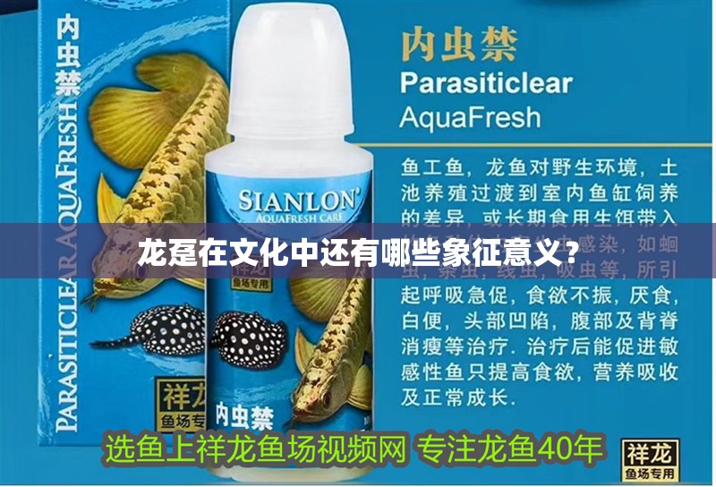 龍躉在文化中還有哪些象征意義？