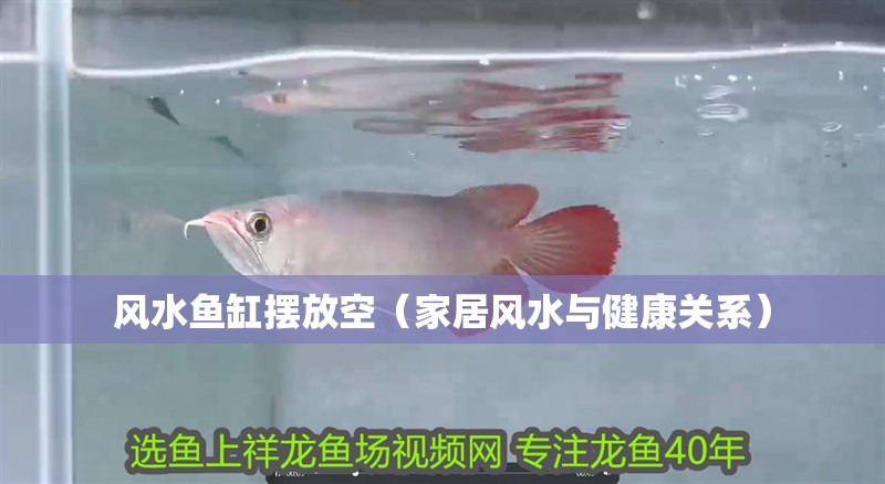 風水魚缸擺放空（家居風水與健康關系）