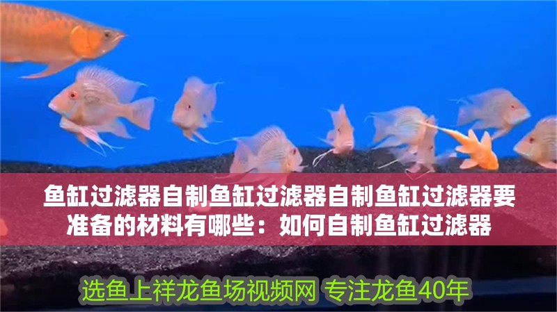 魚缸過濾器自制魚缸過濾器自制魚缸過濾器要準備的材料有哪些：如何自制魚缸過濾器