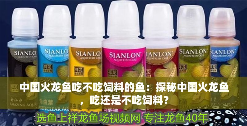 中國(guó)火龍魚(yú)吃不吃飼料的魚(yú)：探秘中國(guó)火龍魚(yú)，吃還是不吃飼料？