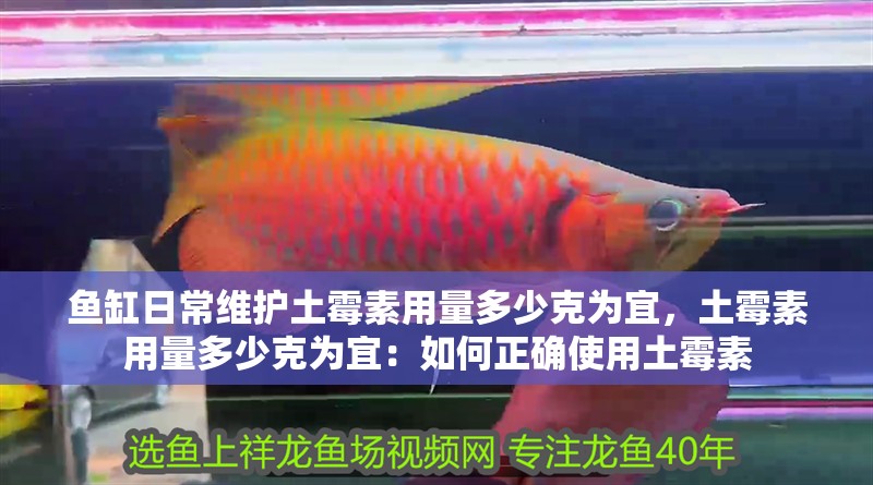 魚缸日常維護土霉素用量多少克為宜，土霉素用量多少克為宜：如何正確使用土霉素