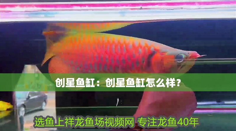 創星魚缸：創星魚缸怎么樣？