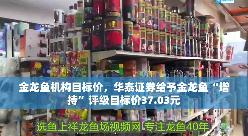 金龍魚機構目標價，華泰證券給予金龍魚“增持”評級目標價37.03元
