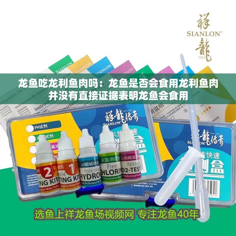 龍魚吃龍利魚肉嗎：龍魚是否會(huì)食用龍利魚肉并沒有直接證據(jù)表明龍魚會(huì)食用
