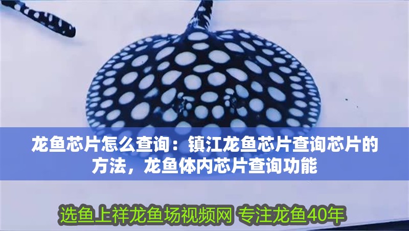 龍魚(yú)芯片怎么查詢：鎮(zhèn)江龍魚(yú)芯片查詢芯片的方法，龍魚(yú)體內(nèi)芯片查詢功能