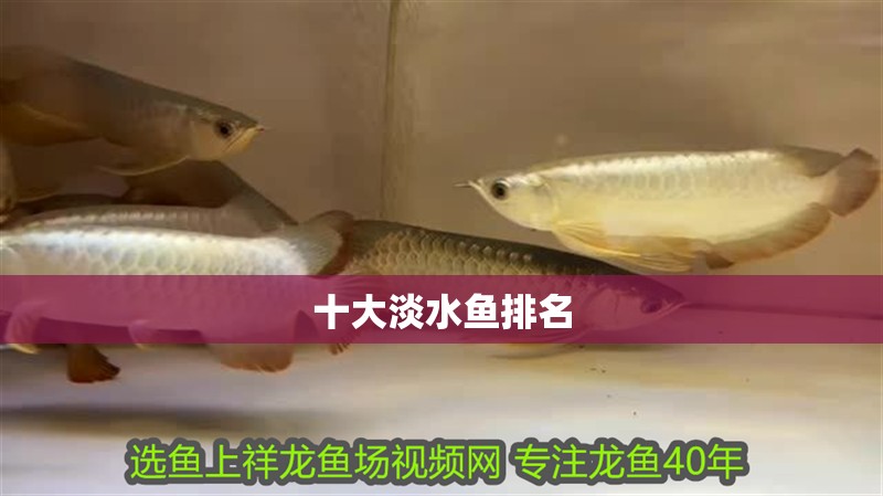 十大淡水魚(yú)排名
