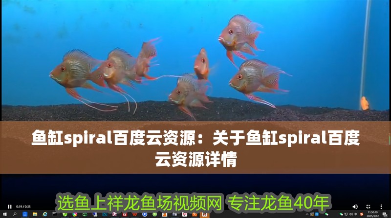 魚缸spiral百度云資源：關于魚缸spiral百度云資源詳情