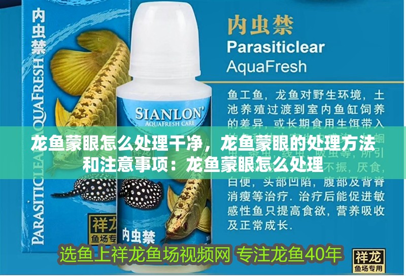 龍魚蒙眼怎么處理干凈，龍魚蒙眼的處理方法和注意事項：龍魚蒙眼怎么處理