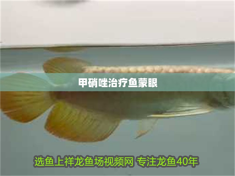甲硝唑治療魚蒙眼